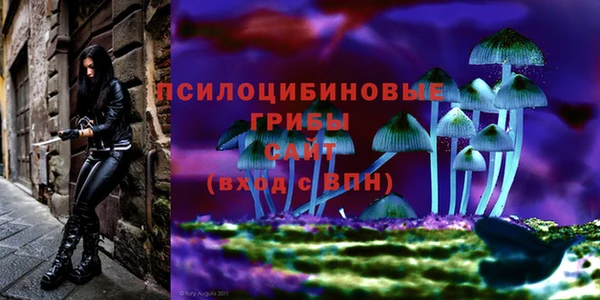 герыч Мегион