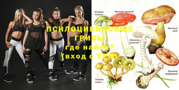 спиды Александровское