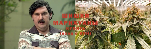 герыч Мегион