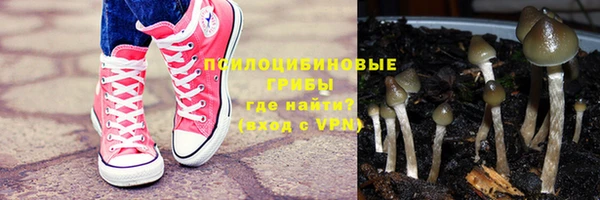 MESCALINE Аркадак