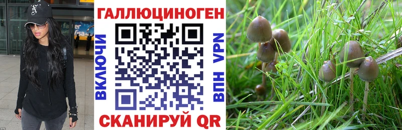 Псилоцибиновые грибы прущие грибы кракен как зайти Вышний Волочёк